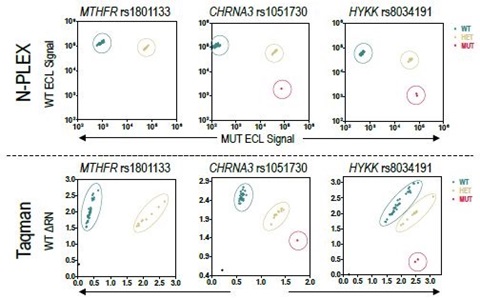 There was 100% concordance in genotyping results between N-PLEX and Taqman SNP Genotyping Assays. 